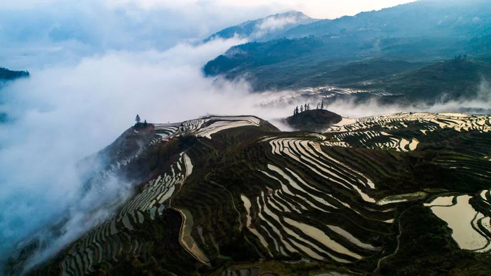 这是哈尼梯田美景（2020年3月6日摄，无人机照片）。新华社记者 胡超 摄