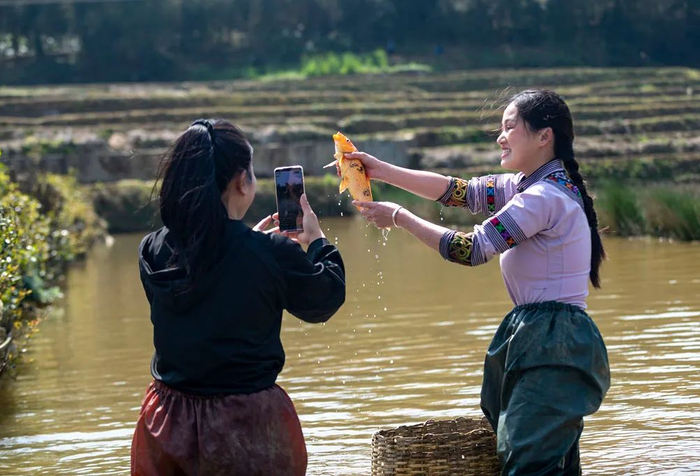 哈尼族姑娘丁继楠（右）和直播团队成员在新街镇大鱼塘村梯田直播抓鱼（2月25日摄）。新华社记者 陈欣波 摄