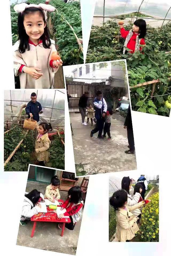 图说：小朋友来采摘