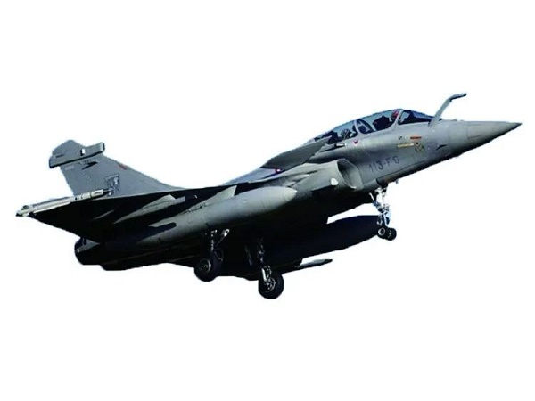 资料图：法制“阵风”战机（环球网）