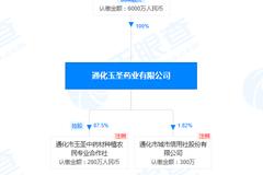 通化玉圣药业“虚增差旅费等费用超1500万、虚开发票170万”被罚