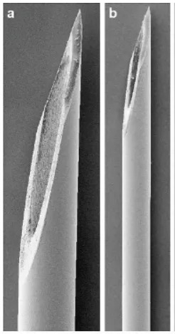 图片来源：参考文献