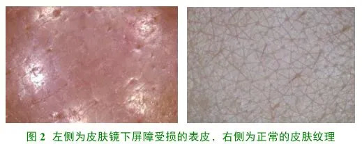 截图自相关文献