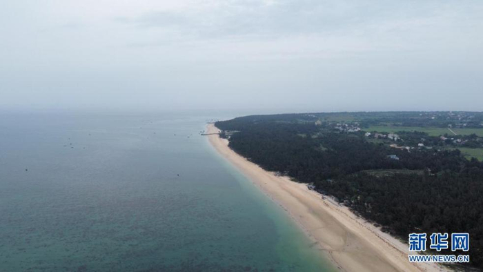 这是4月7日拍摄的涠洲岛珊瑚礁修复实验区附近的海域（无人机照片）