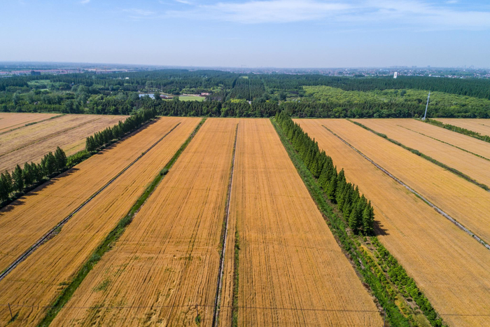 上海崇明视觉中国图