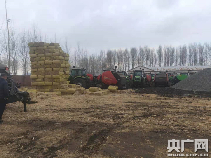 秸秆加工现场（央广记者 张静 摄）