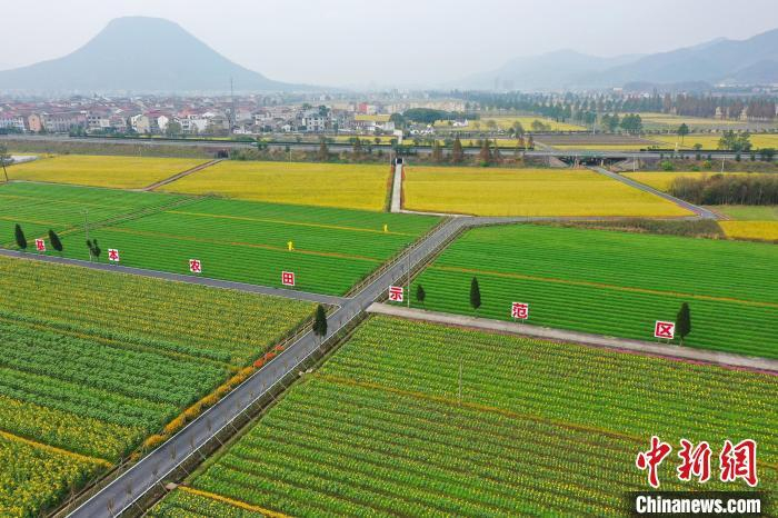 资料图 包康轩 摄