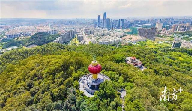 东莞城市中心。