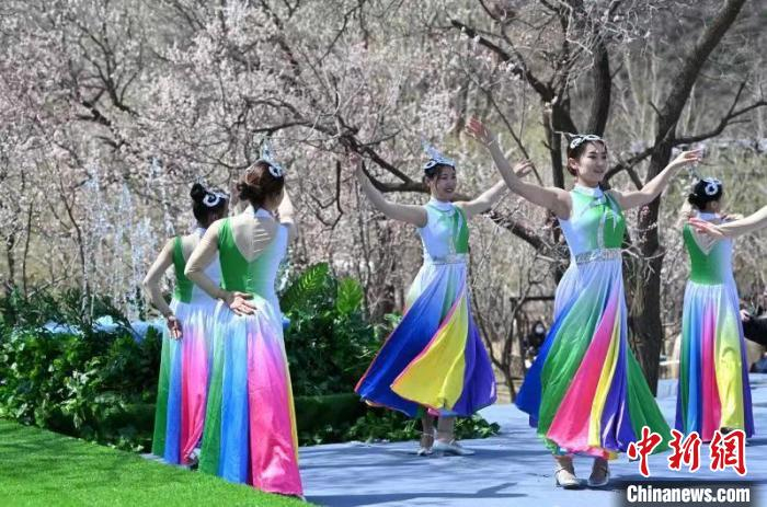 图为乌素图杏花节现场。　刘文华 摄