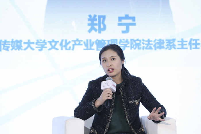 图为传媒大学文化产业管理学院法律系主任郑宁。 摄影 记者 郑新洽