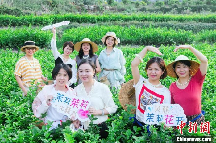 茉莉花观光旅游兴起。　大东 摄