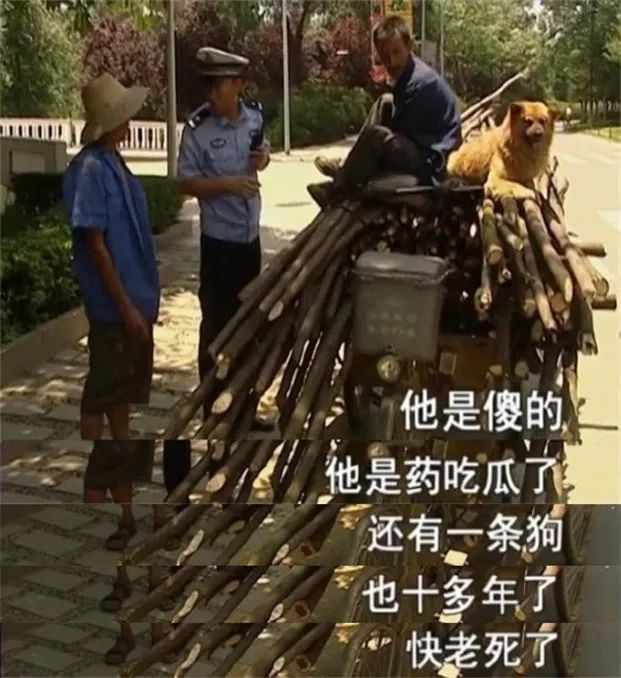 中国「马路杀手」有多野?