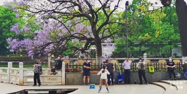 春城晚报－开屏新闻记者 江洋 摄