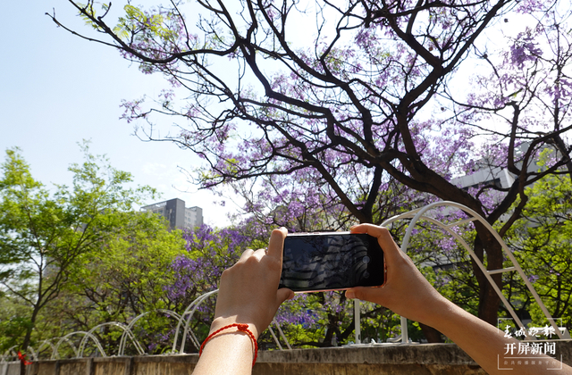 春城晚报－开屏新闻记者 费丹艺 摄