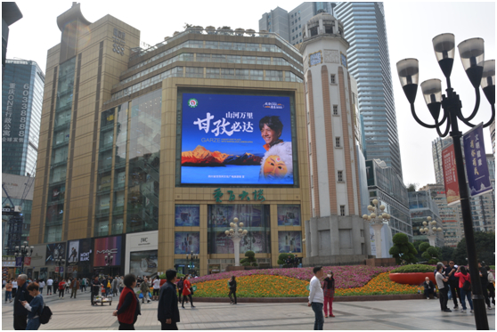 活动现场 主办方供图