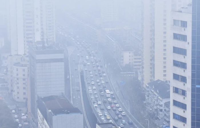 新民晚报记者 孙中钦 摄