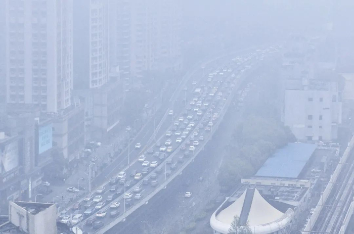 新民晚报记者 孙中钦 摄