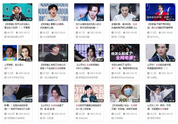 在B站搜索“老婆”二字的首页结果