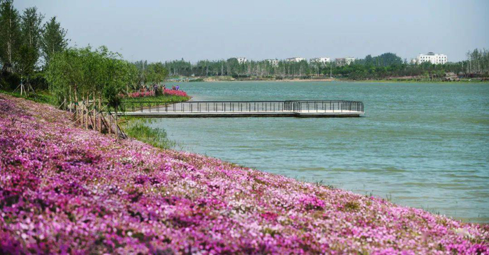 图为新时代大运河焦作段运河美景资料图