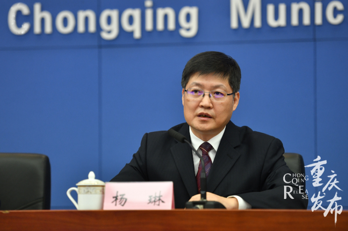 杨琳介绍有关情况 邹乐 摄