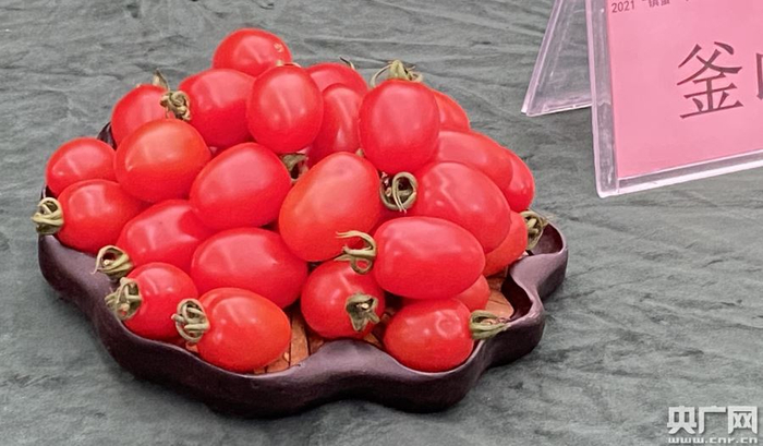 获得金奖的“釜山88”番茄 （央广网发 刘欣莹摄）