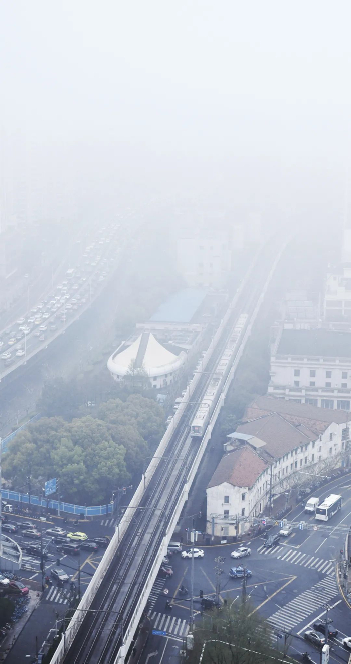 新民晚报记者 孙中钦 摄