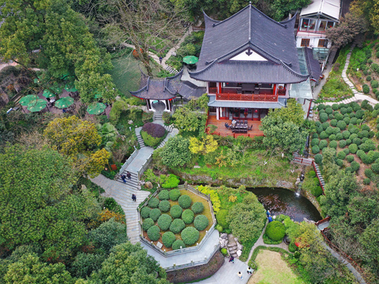     老龙井十八棵御茶园 浙江西湖老龙井接待中心供图