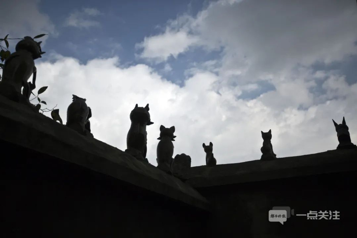 房檐上的瓦猫 都市时报资料图