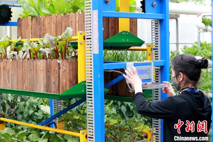 参展工作人员展示蔬菜立体循环式种植设备。　梁犇 摄