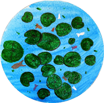 谷雨的第一个五天，浮萍开始生长。