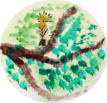 谷雨的第三个五天，桑树上开始见到戴胜鸟。