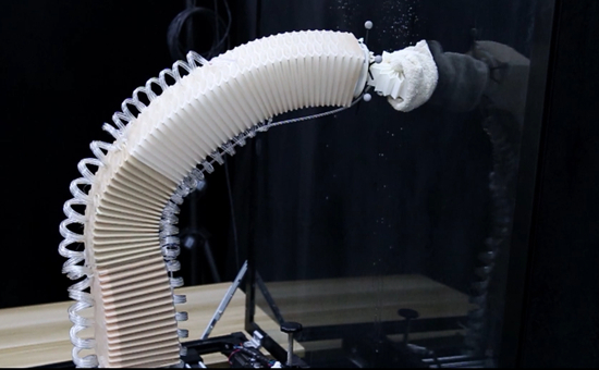     图为软体手臂在执行擦玻璃指令  受访者供图