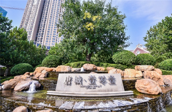 （实景图，唐城·壹零壹供图，央广网发）