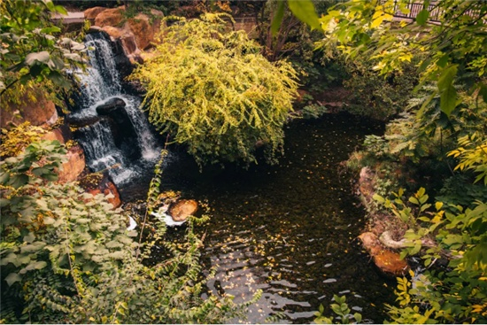 （实景图，唐城·壹零壹供图，央广网发）