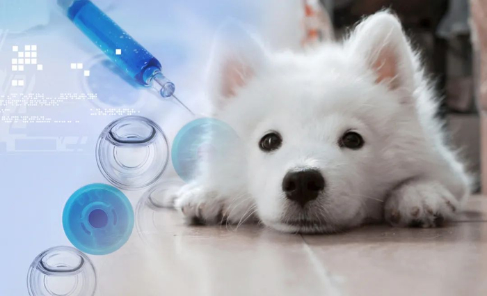 （图片来源：摄图网）