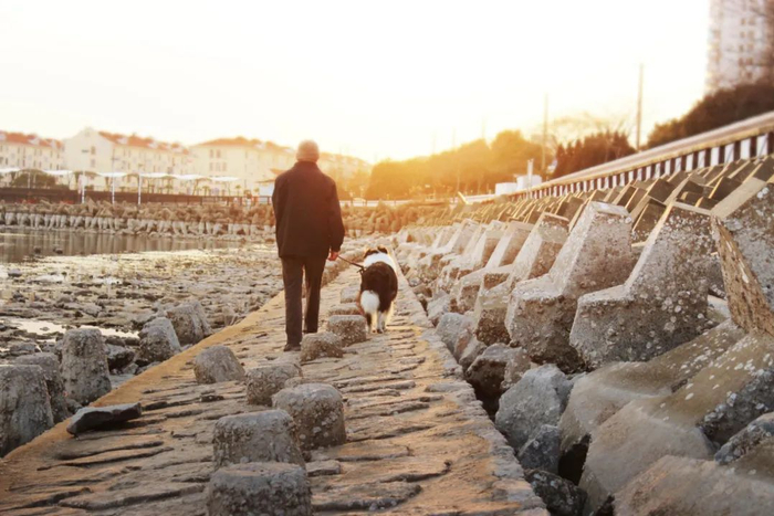 （图片来源：摄图网）