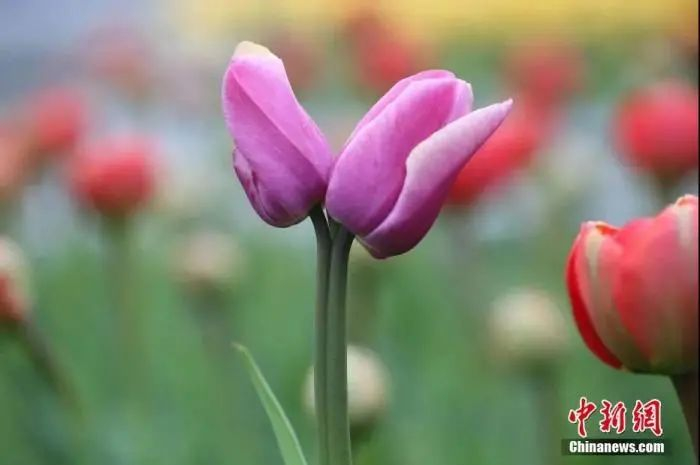 资料图：图文无关。徐珊珊 摄