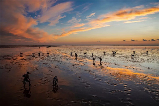 （春风蓝湾实拍图，春风蓝湾供图，央广网发）