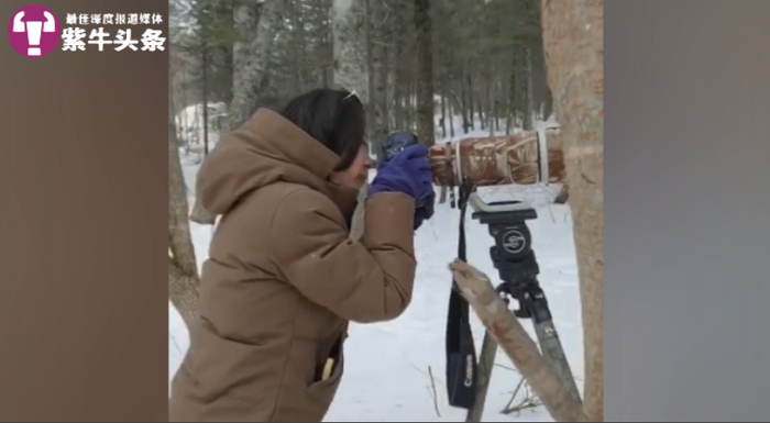 初雯雯在拍河狸