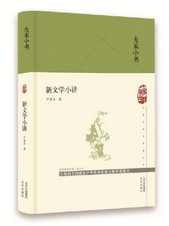 ▲ 大家小书系列《新文学小讲》 严家炎 著