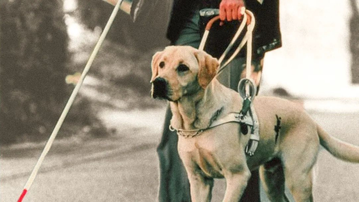 图片来源于陆玖财经