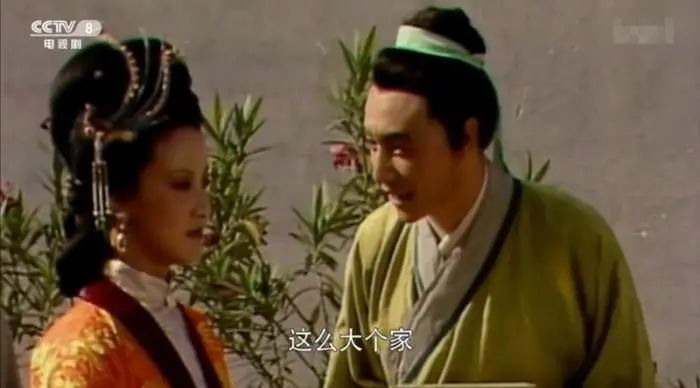图片来源：《红楼梦》视频截图