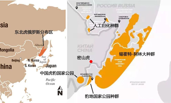 东北虎的分布图&nbsp; 绘图：猫盟