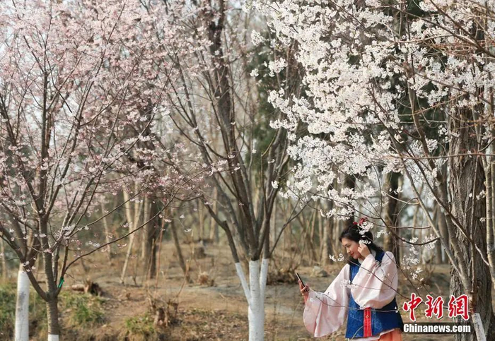 中新社记者 杜洋 摄