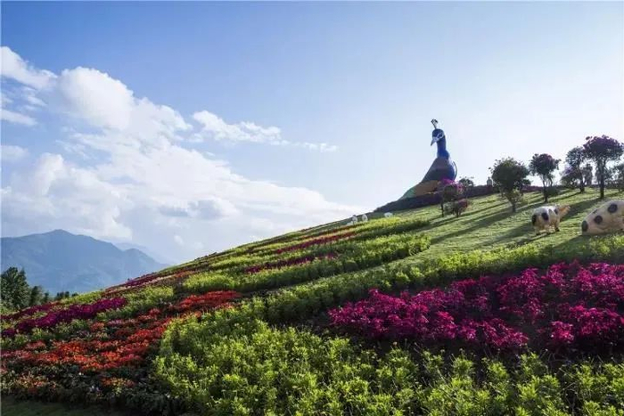 德宏傣族景颇族自治州芒市孔雀谷景区 图源：“微美芒市”微信公众号 杨帮庆 摄