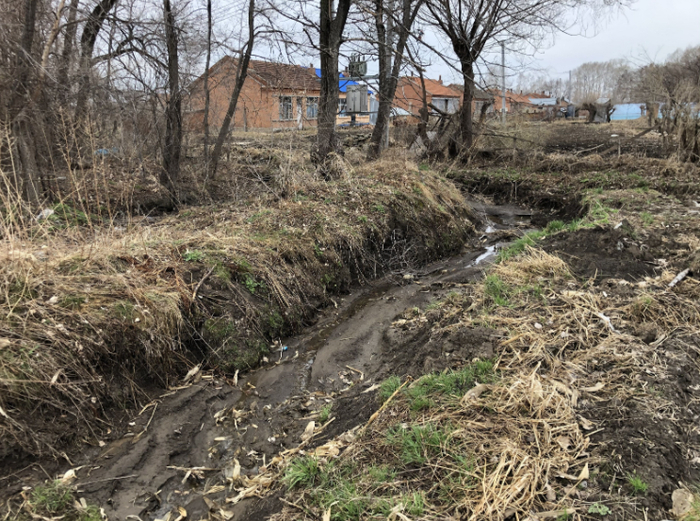 4月23日，老虎曾在一组居民后院的排水沟里卧了两个多小时。新京报记者 韩沁珂 摄
