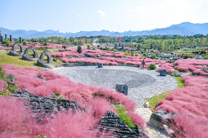 　　叠石花谷（央广网发 重庆高速集团东南营运分公司供图）