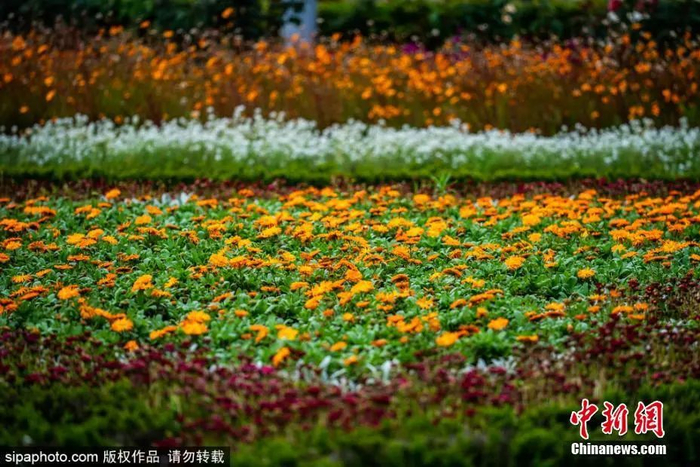 图片来源：Sipaphoto