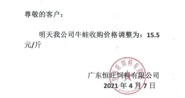 不少厂家提高牛蛙收购价格