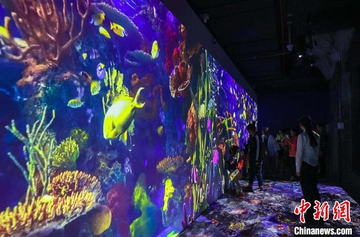 中国海洋渔文化馆一景。　吴婧媛 摄